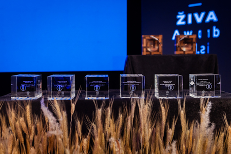 559001596_1425589652701237_4884325178307318139_n