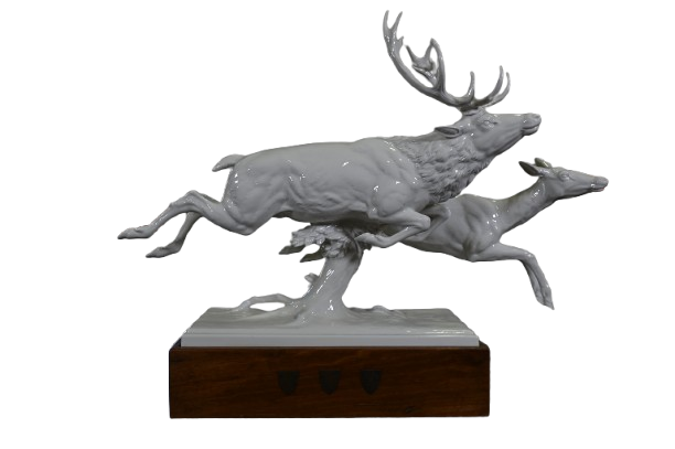 ACI_2285-removebg-preview