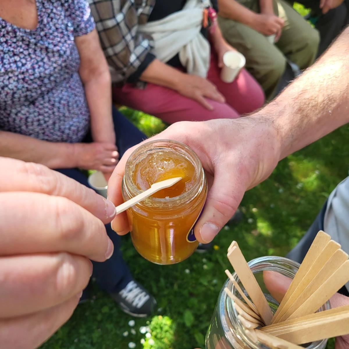 679221618_1600555038739659_6553647258833996736_n